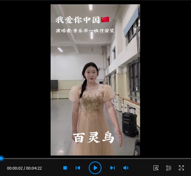 《我爱你中国》