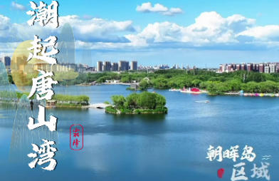 《潮起唐山湾》